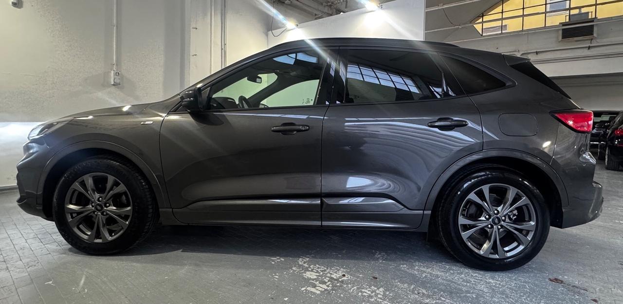 Ford Kuga 2.0 EcoBlue Hybrid 150 CV 2WD ST-Line