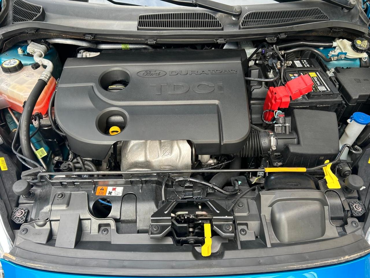 Ford Fiesta 1.5 TDCi 75 CV – IDEALE PER NEOPATENTATI 74.152 KM GARANZIA 12 MESI!