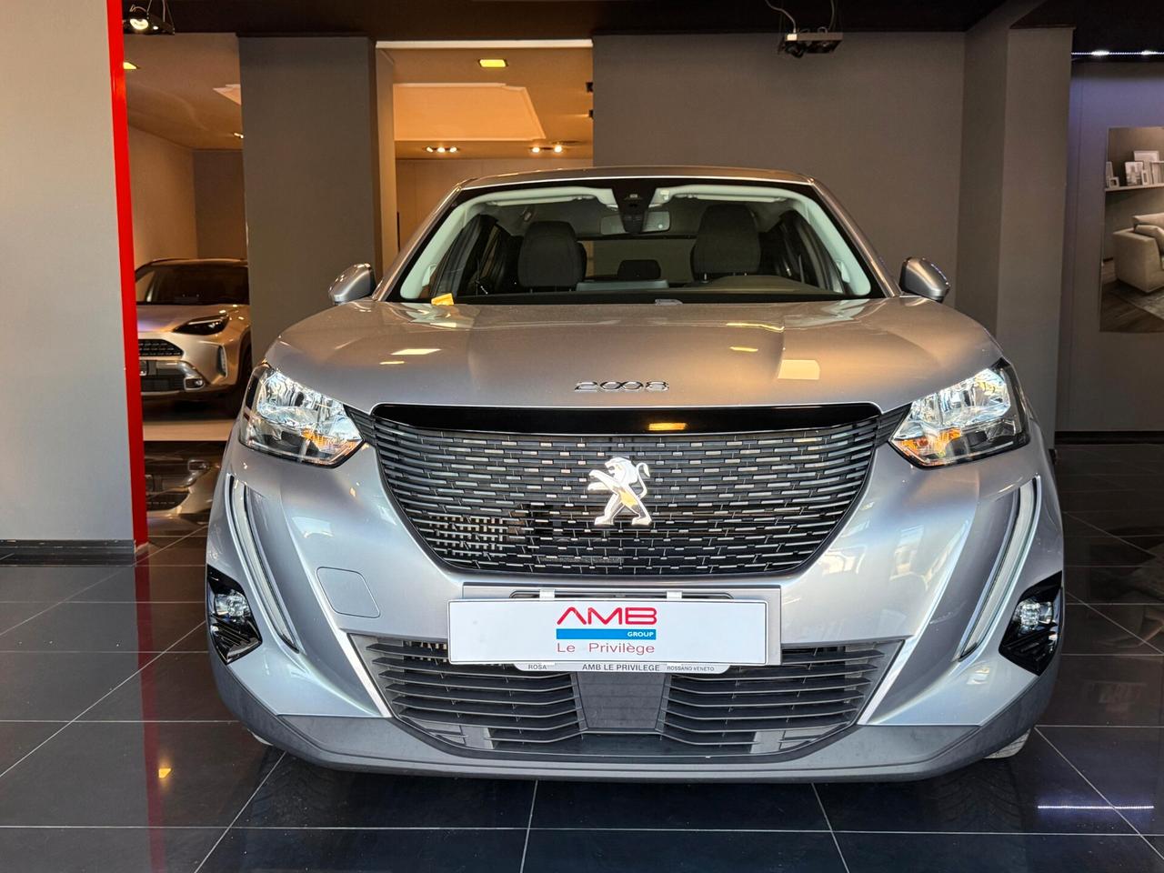 Peugeot 2008 PureTech 100 S&S Active