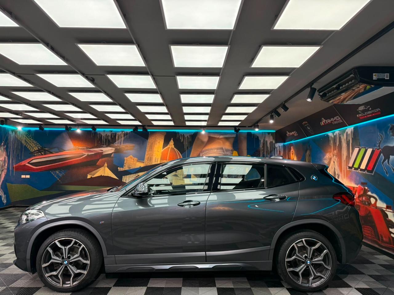 Bmw X2 sDrive18d Msport-X (611)