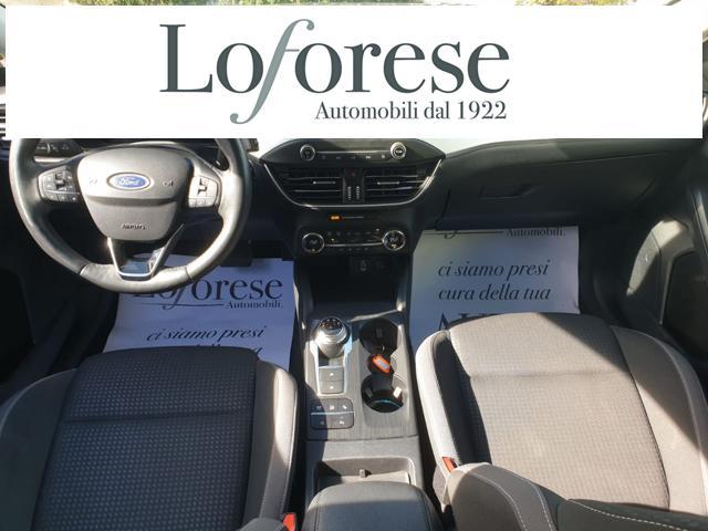 FORD Focus 1.5 EcoBlue 120 CV automatico SW Business Co-Pilot