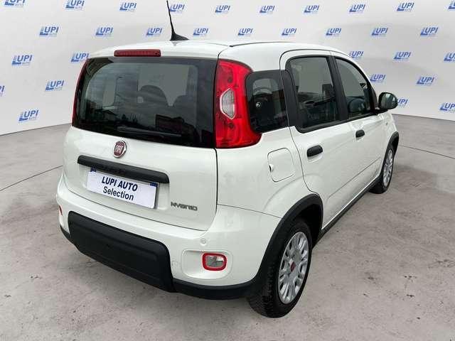 Fiat Panda 1.0 firefly hybrid s&s 70cv 5p.ti