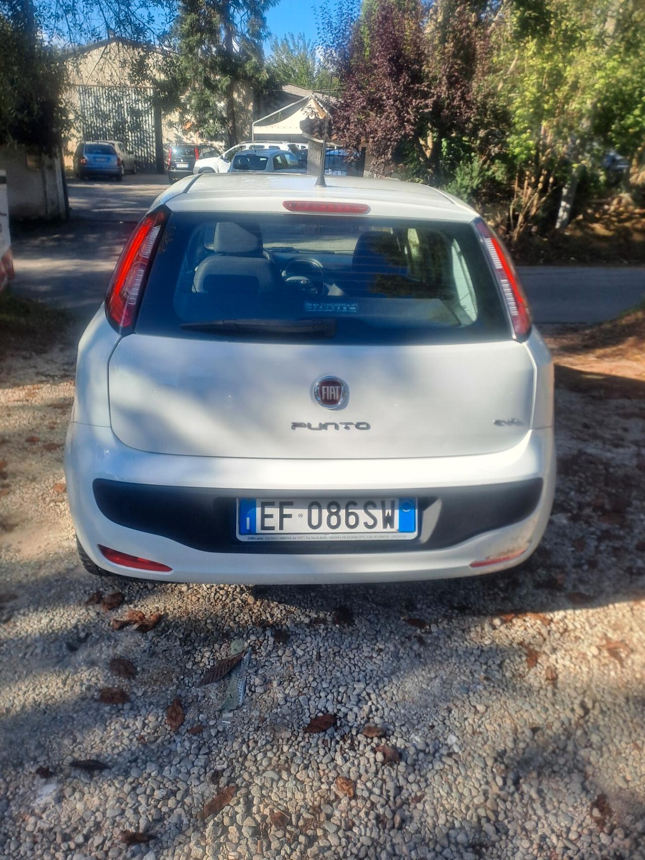 Fiat Punto Evo 1.2 5 porte S&S Dynamic