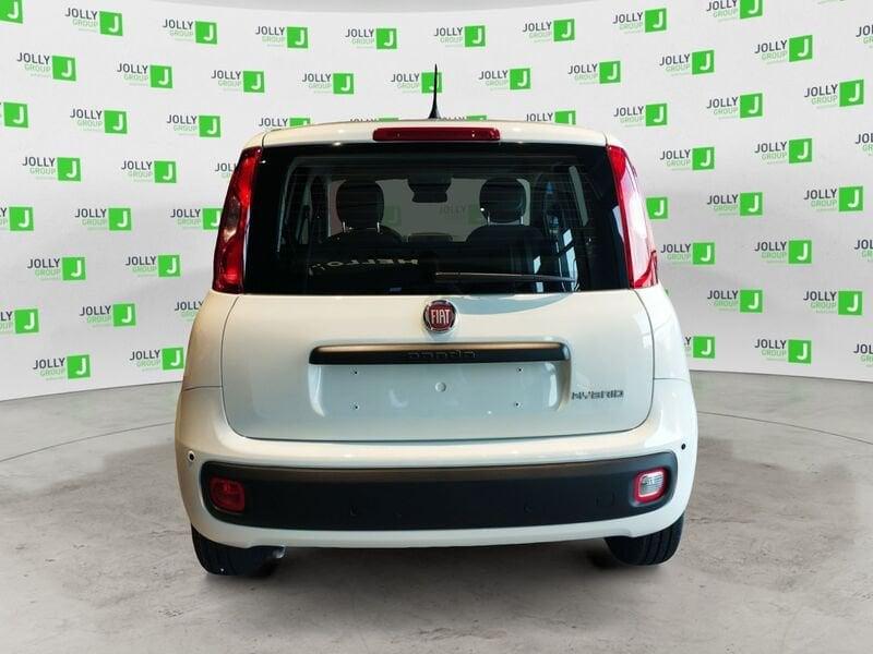 FIAT Pandina 1.0 FireFly 65cv S&S 6m Hybrid Icon vettura a noleggio on vendibile per info simona magnante