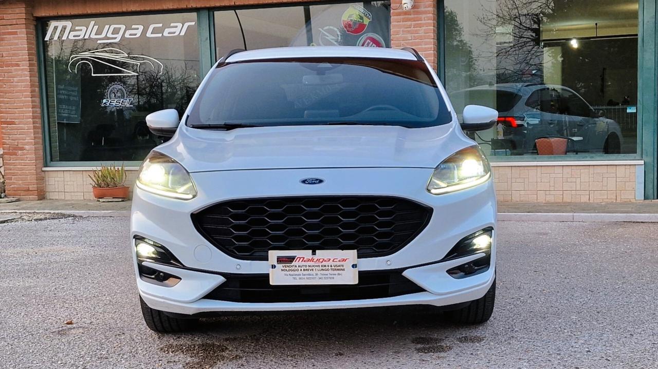 Ford Kuga 1.5 EcoBlue 120 CV 2WD ST-Line