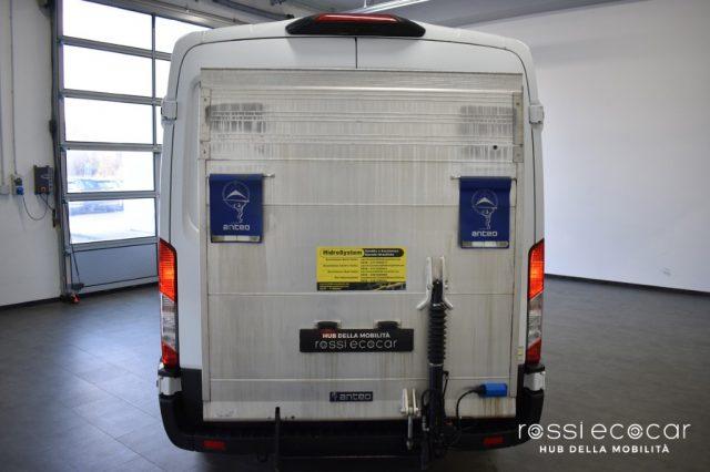 FORD Transit 350 2.0TDCi EcoBlue MHEV 170CV PL-TM Isotermico