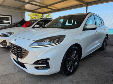 Ford Kuga 1.5 EcoBlue 120 CV 2WD ST-Line Design