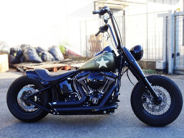 HARLEY-DAVIDSON FLS Softail Slim FLS SOFTAIL SLIM