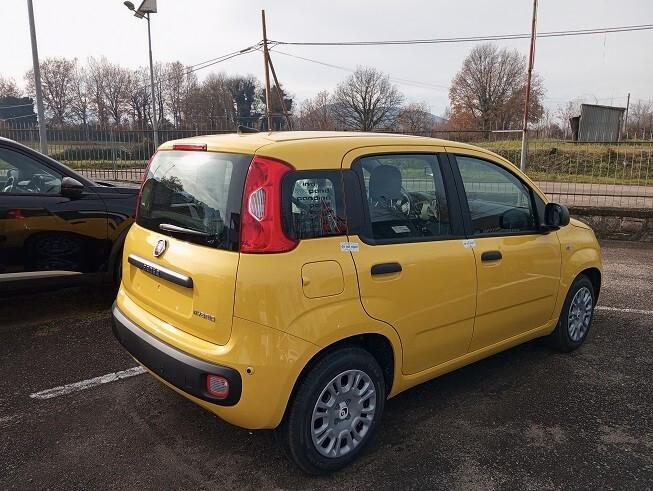 Fiat Panda PANDINA 1.0 65cv Hybrid ICON