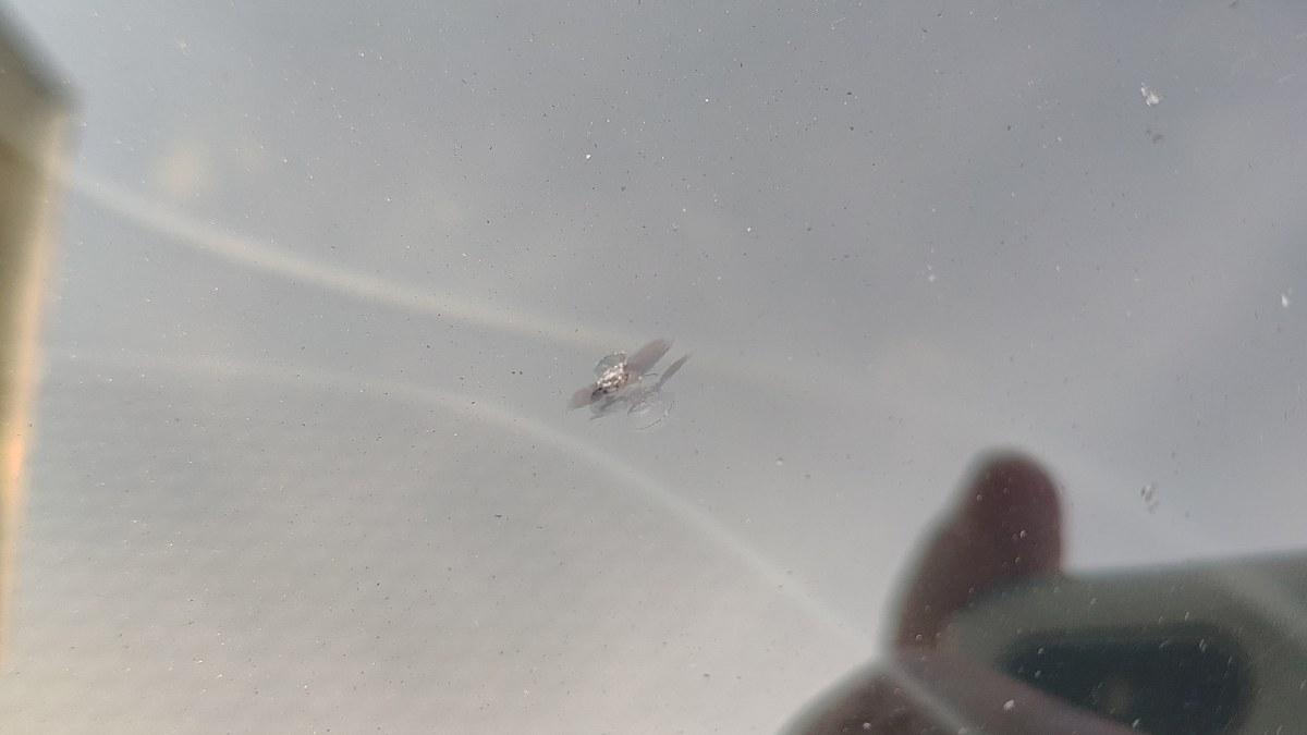 JEEP Renegade Prezzo per soli operatori del settore No Garanzia