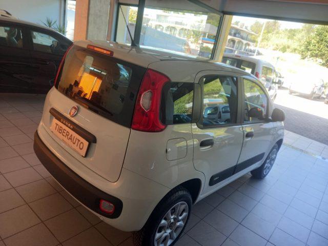 FIAT Panda KM 24337 !!!! M/CASA MADRE