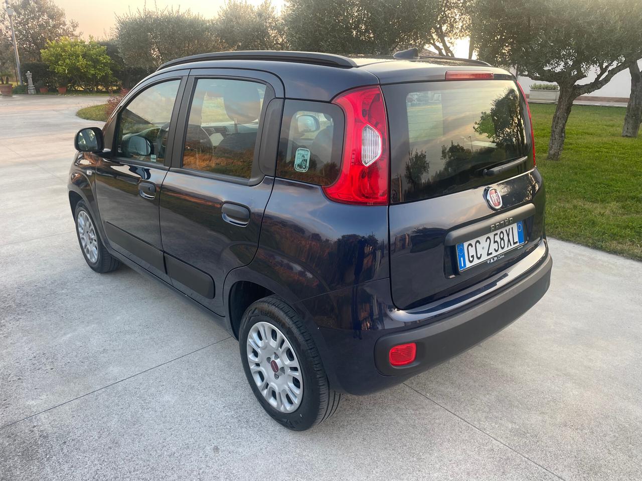 Fiat Panda 1.2 BENZINA LOUNGE 12 MESI DI GARANZIA