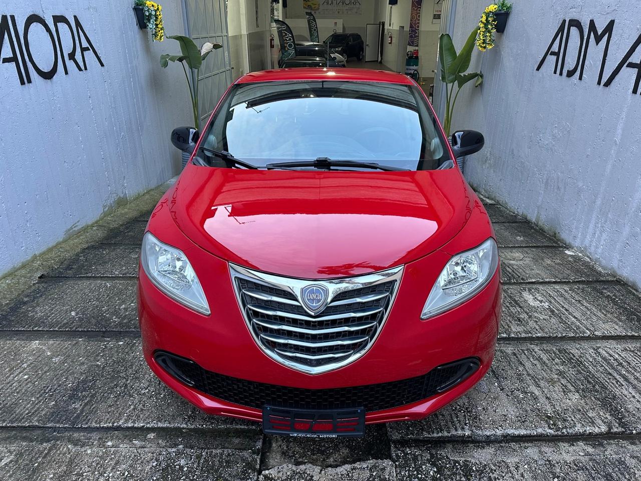 Lancia Ypsilon 1.3 MJT 16V 95 CV 5 porte S&S Elefantino