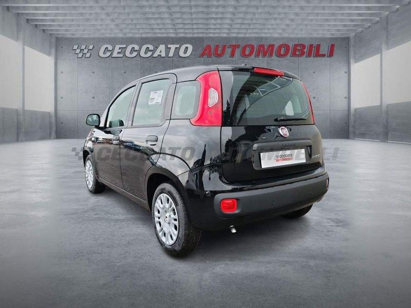 FIAT Panda Panda 1.0 firefly hybrid s&s 70cv