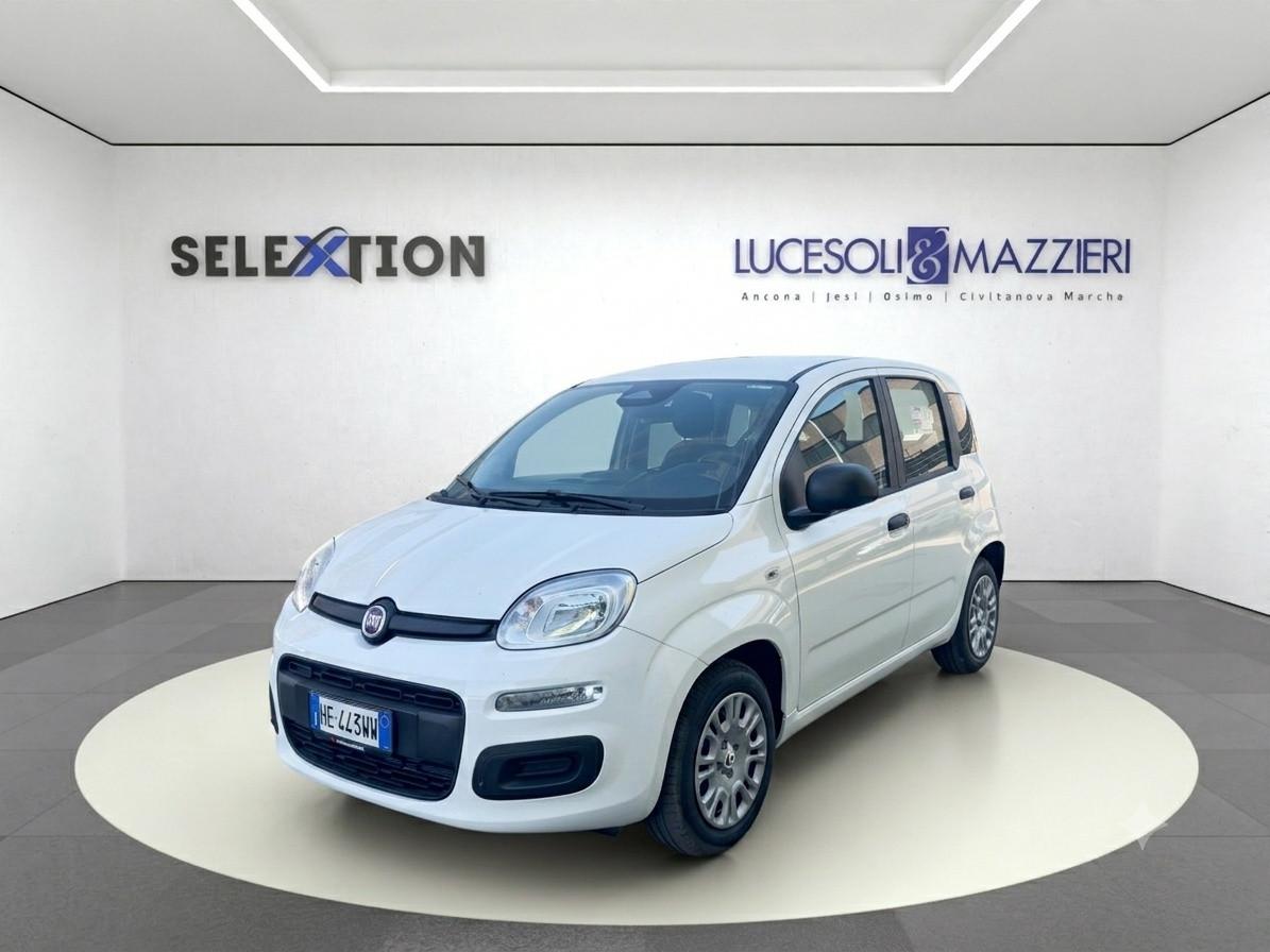 FIAT Pandina - Pandina 1.0 FireFly 65 CV Hybrid Icon