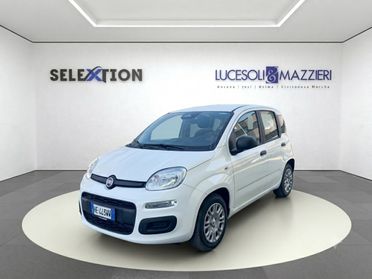FIAT Pandina - Pandina 1.0 FireFly 65 CV Hybrid Icon