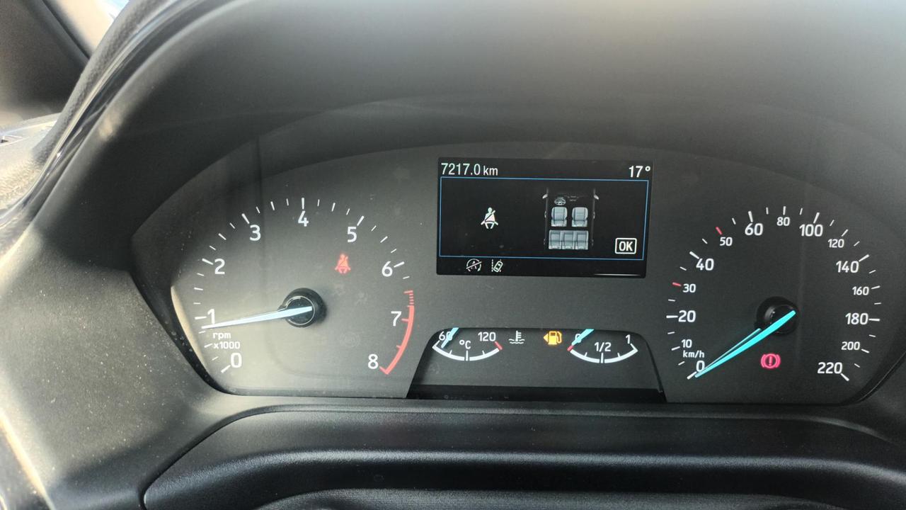 FORD Fiesta 7ª serie - Fiesta 1.0 Ecoboost Hybrid 125 CV 5 porte ST-Line