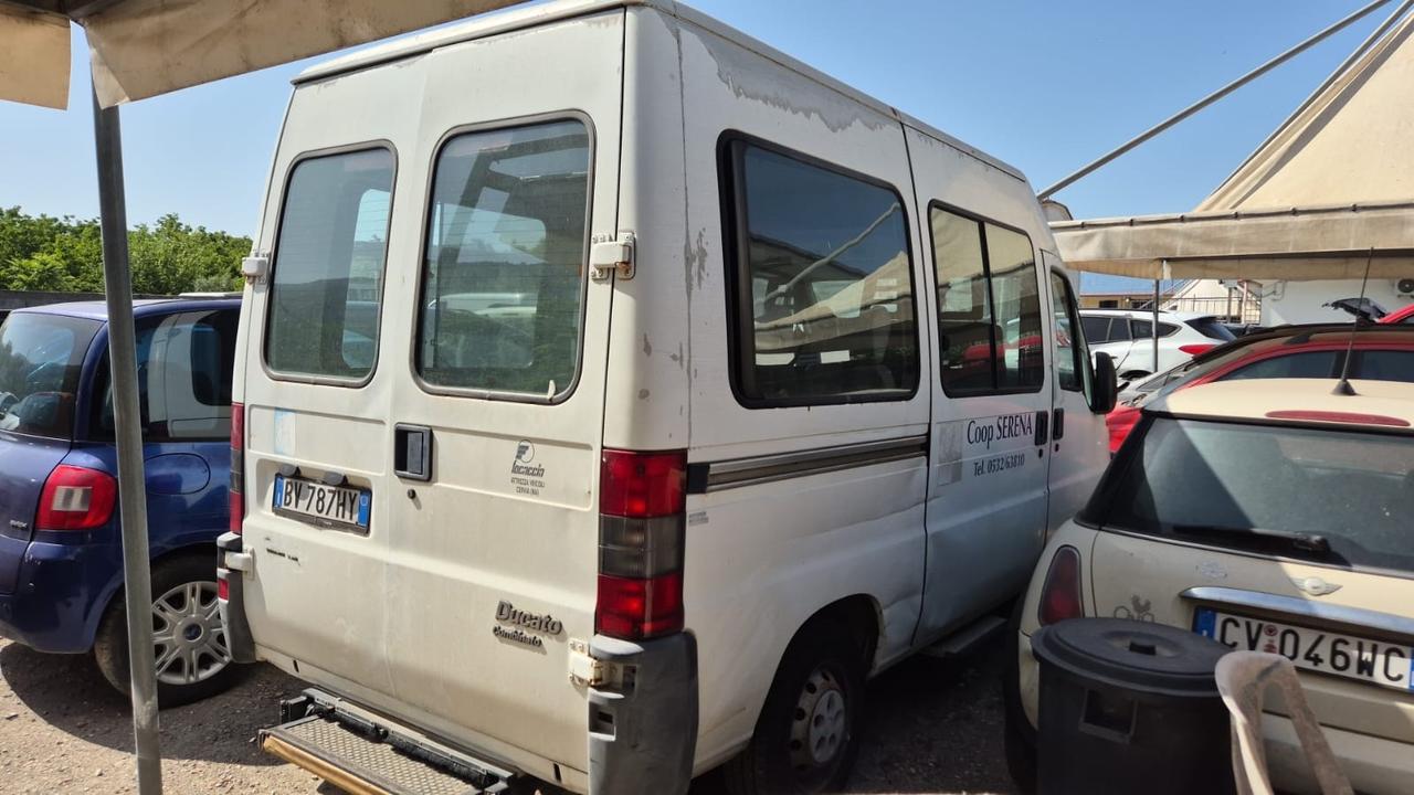 Fiat ducato trasporto disabili