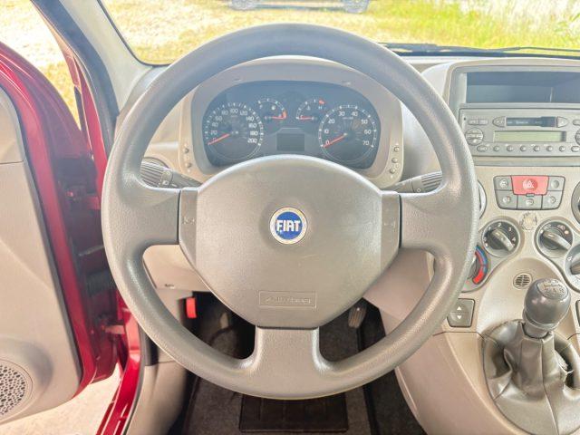 FIAT Panda 1.2 Emotion OK NEOPATENTATI PRONTA CONSEGNA