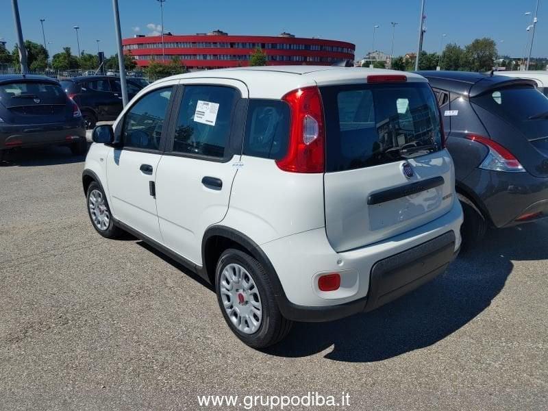 FIAT Panda 1PH My24 1.0 70cv Hybrid Panda