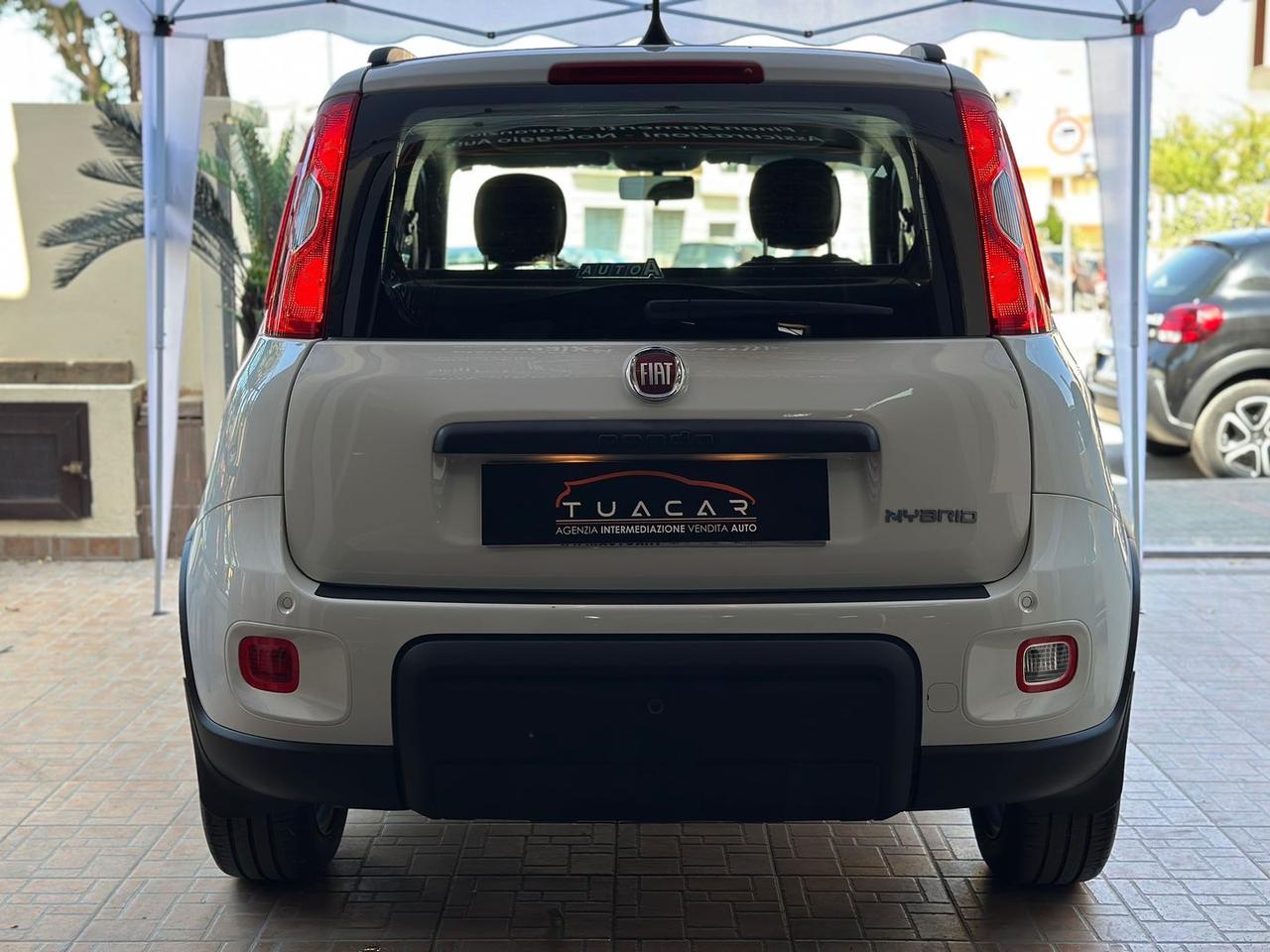 Fiat Panda 1.0 HYBRID MY24 #11654