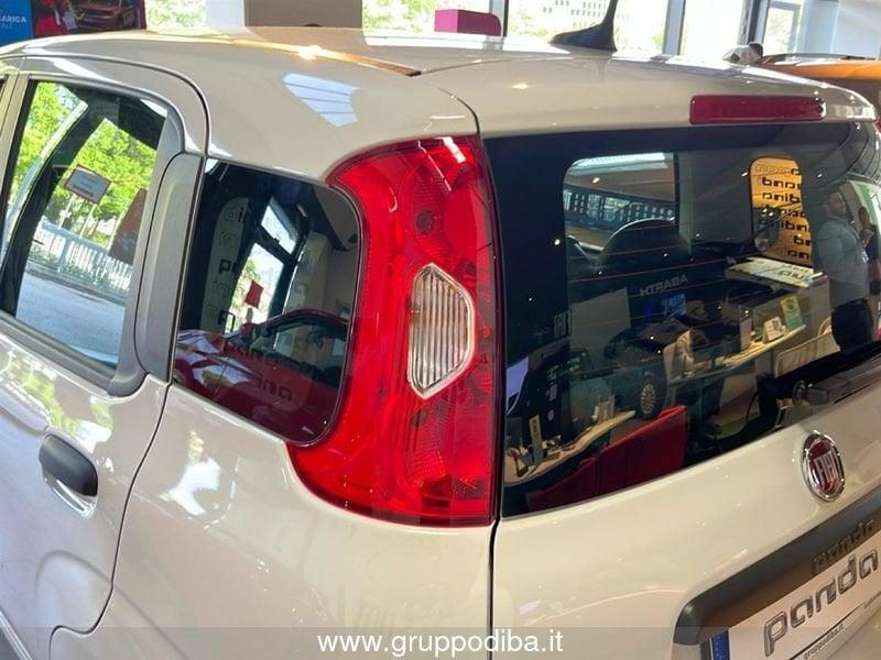 FIAT Panda 1.0 70cv Hybrid Panda
