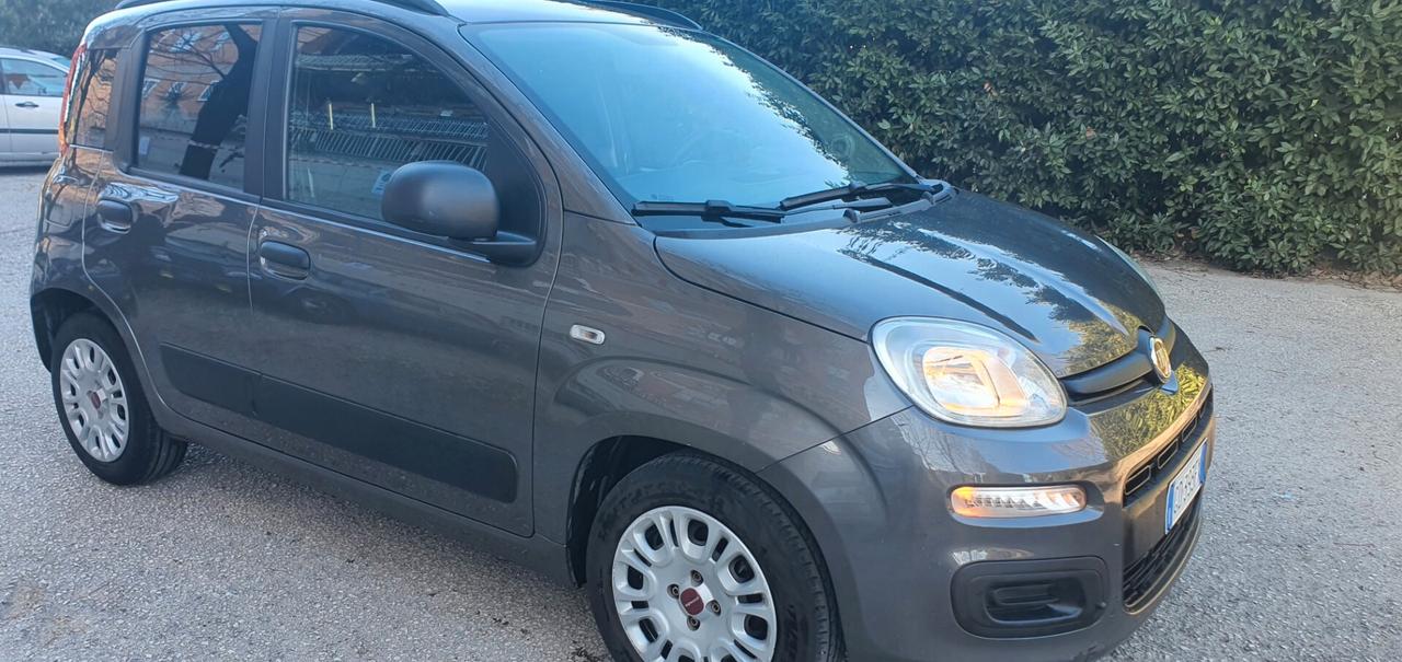 Fiat Panda 1.0 FireFly S&S Hybrid Easy