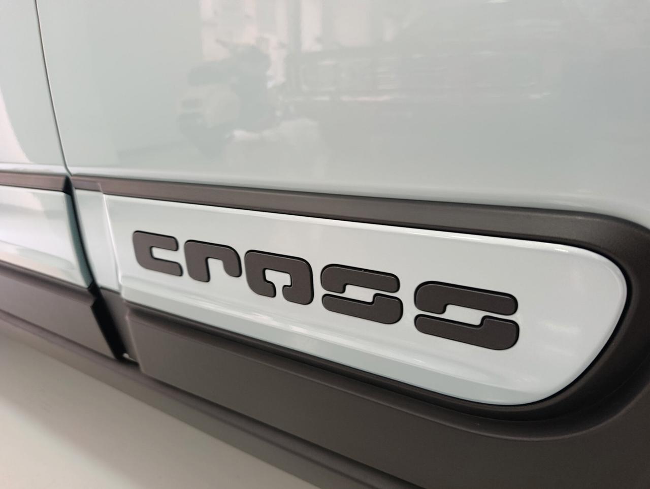 Fiat Panda 1.0 FireFly S&S Hybrid City Cross