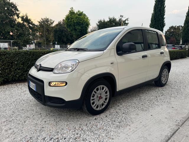 FIAT Panda 1.0 FireFly Hybrid 70cv S&S MT6 - KmZero