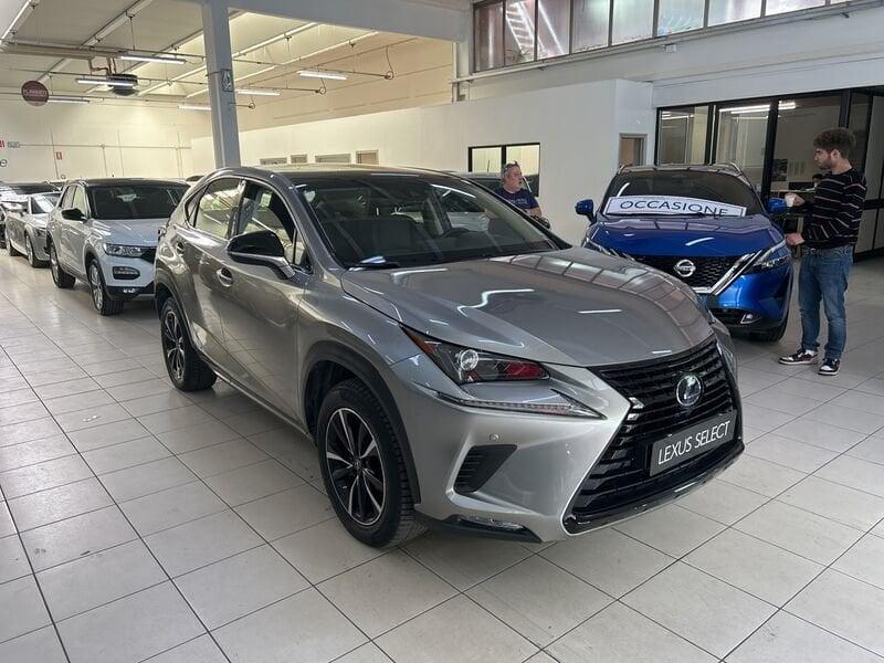 Lexus NX Hybrid 4WD Premium