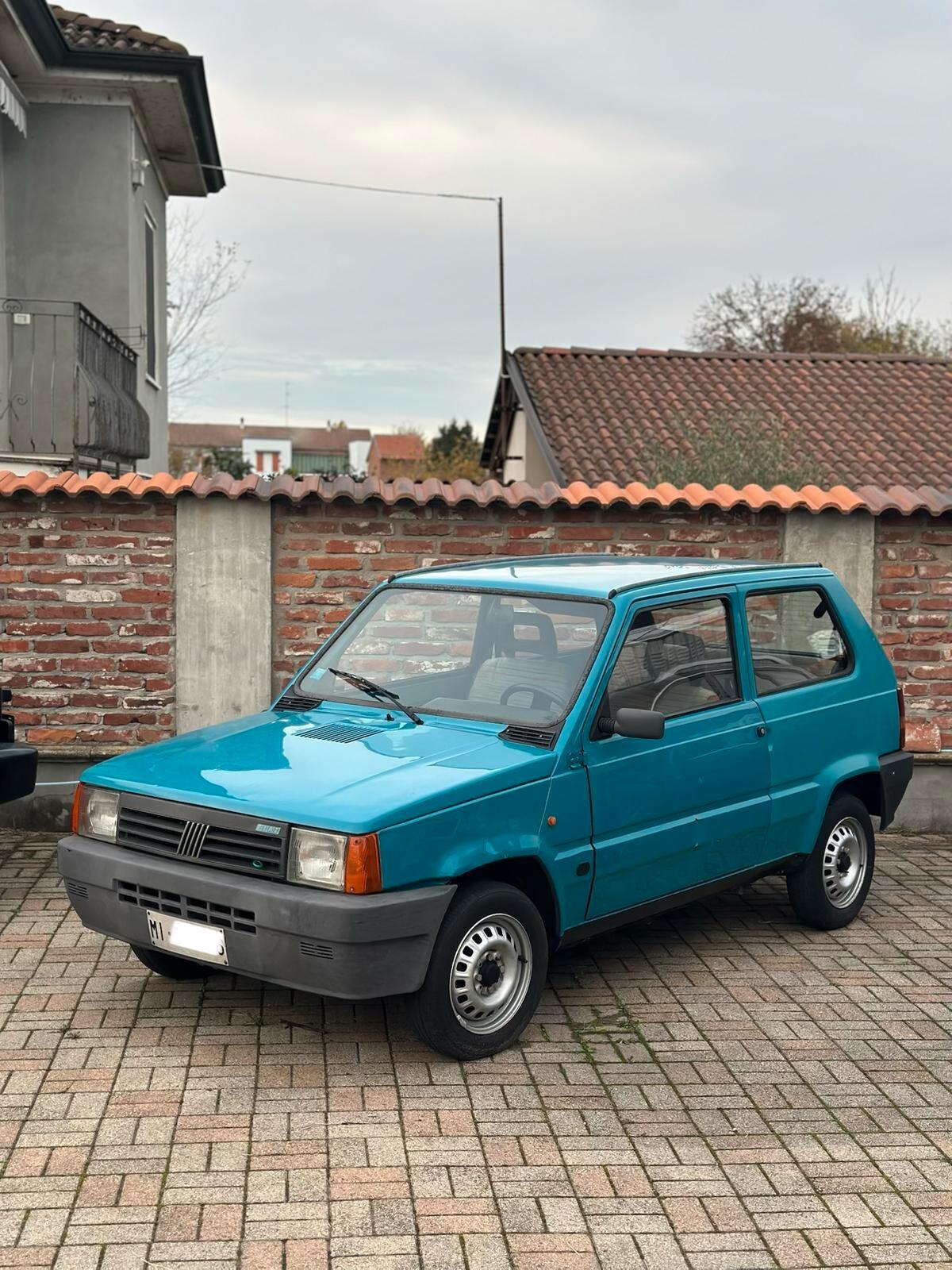 Fiat Panda 900 i.e. cat Young