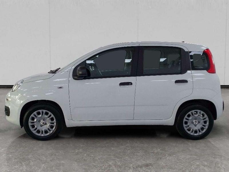 FIAT Pandina 1.0 firefly hybrid Icon s&s 70cv 5p.ti