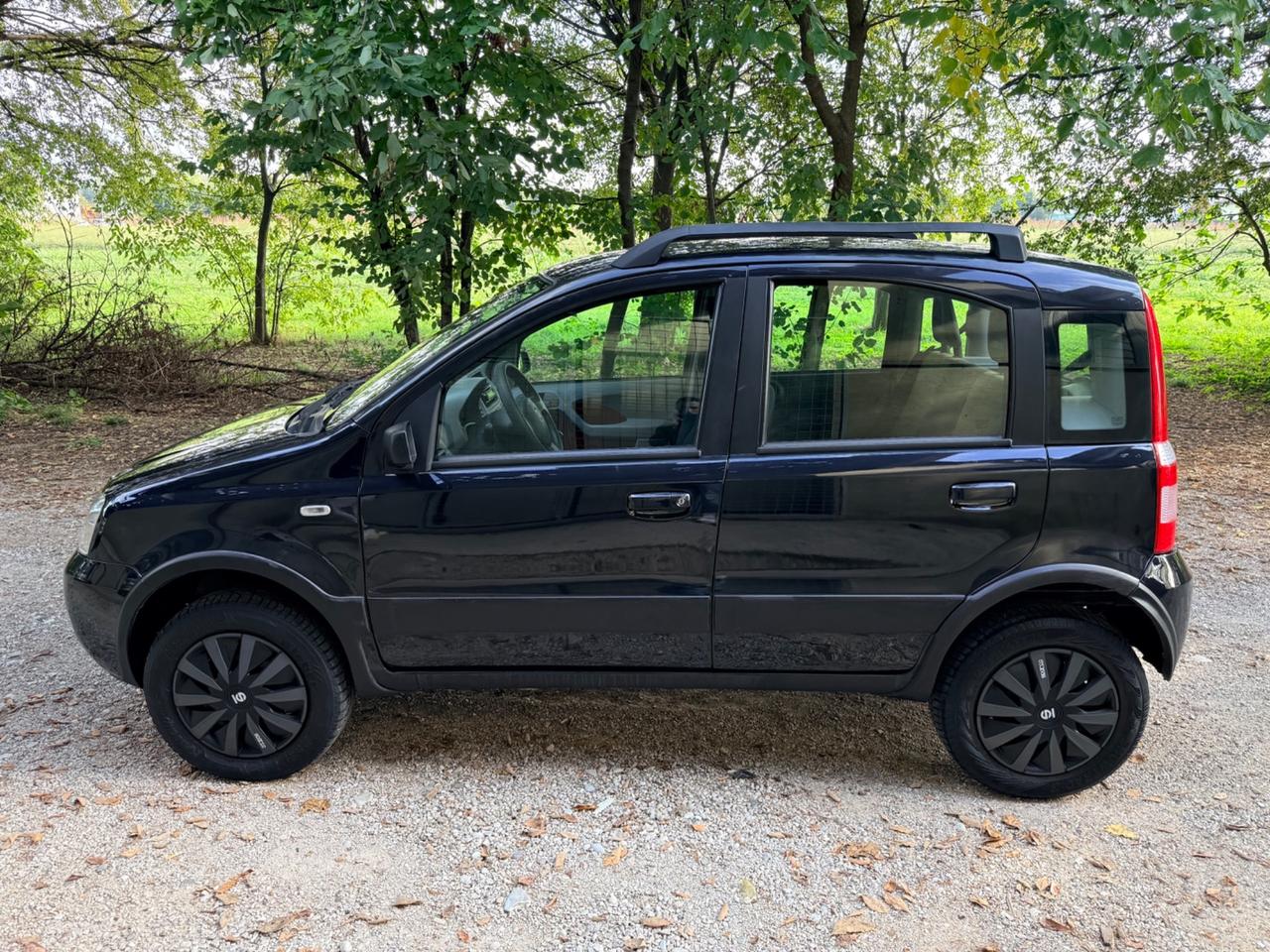 Fiat Panda 1.2 4x4 Climbing