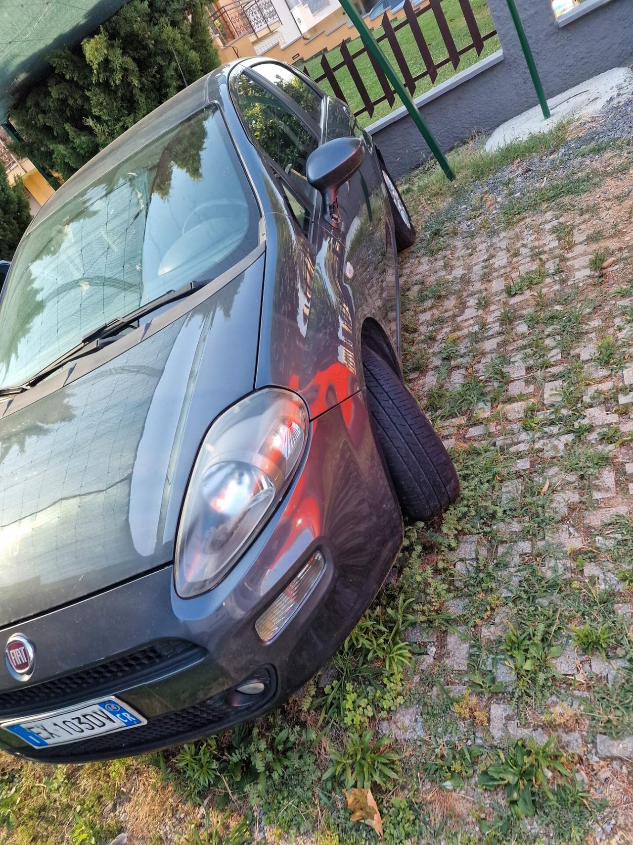 Fiat Punto 1.3 MJT II 75 CV 5 porte Lounge AUTO DESTINATA A COMMERCIANTI E OPERATORI DEL SETTORE