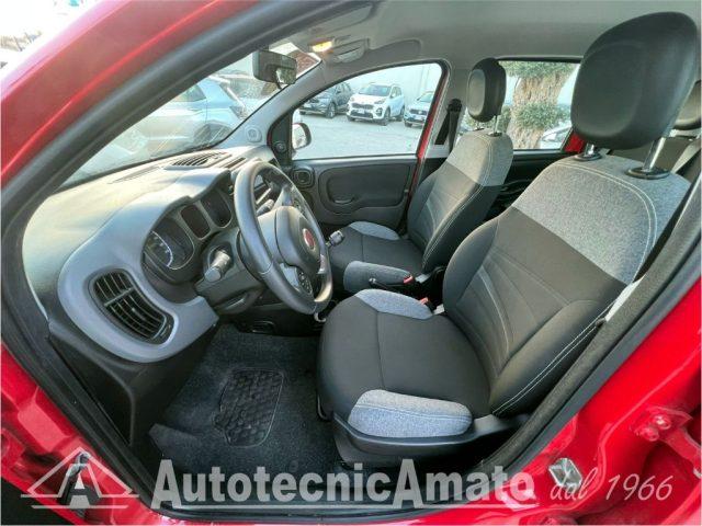 FIAT Panda 3° serie 1.0 FireFly S&S Hybrid City Life