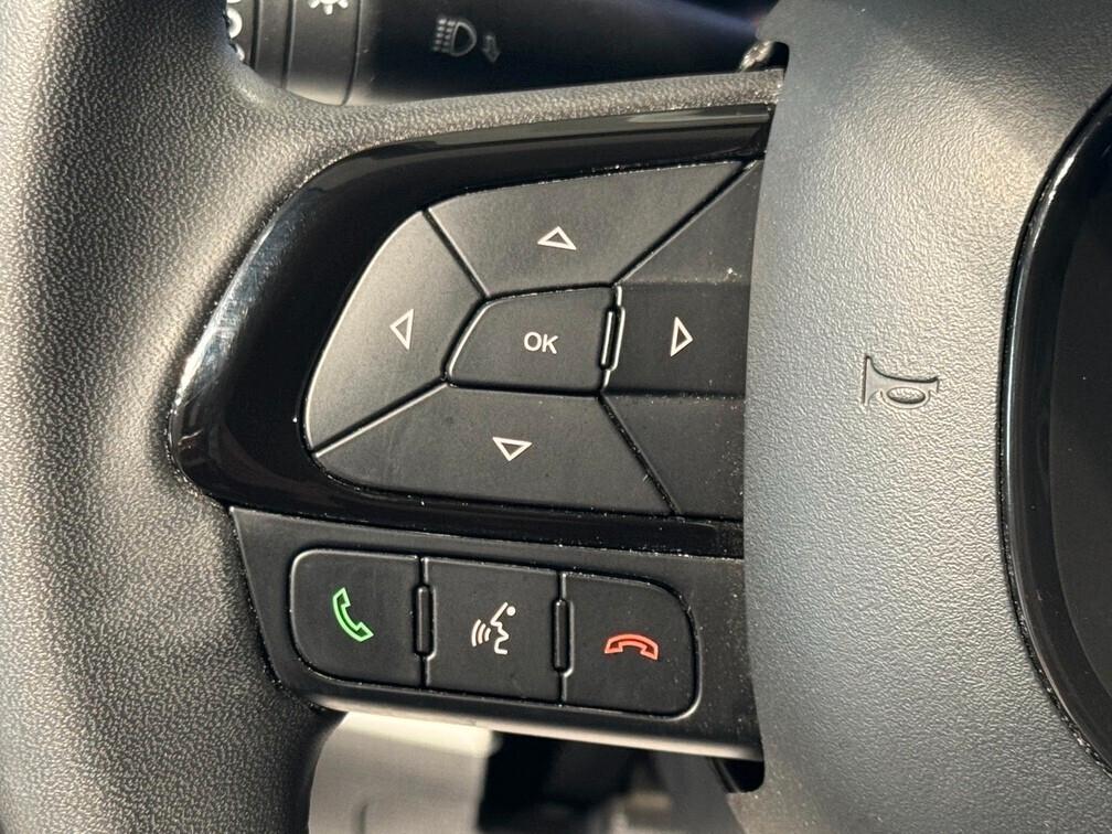 Fiat Pandina Cross 1.0 firefly hybrid Virtual App conn Neopat