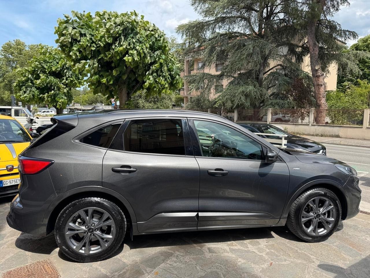 FORD KUGA 1.5 EcoBlue 120cv 2WD ST-Line X NEOPAT.