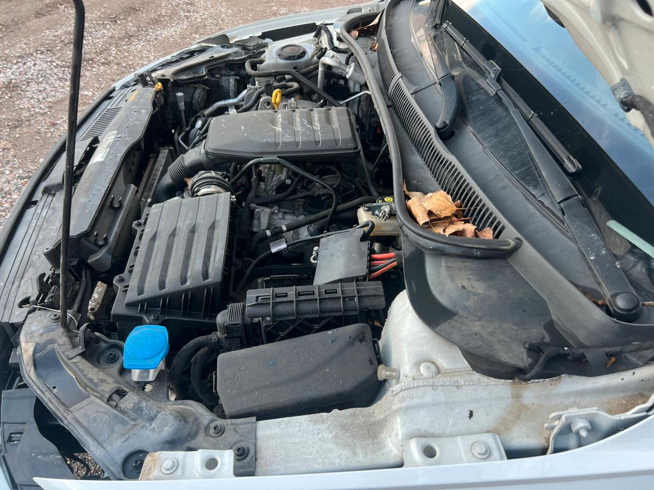 Volkswagen Polo 1.0 EVO 80 CV 5p. Comfortline BlueMotion Technology