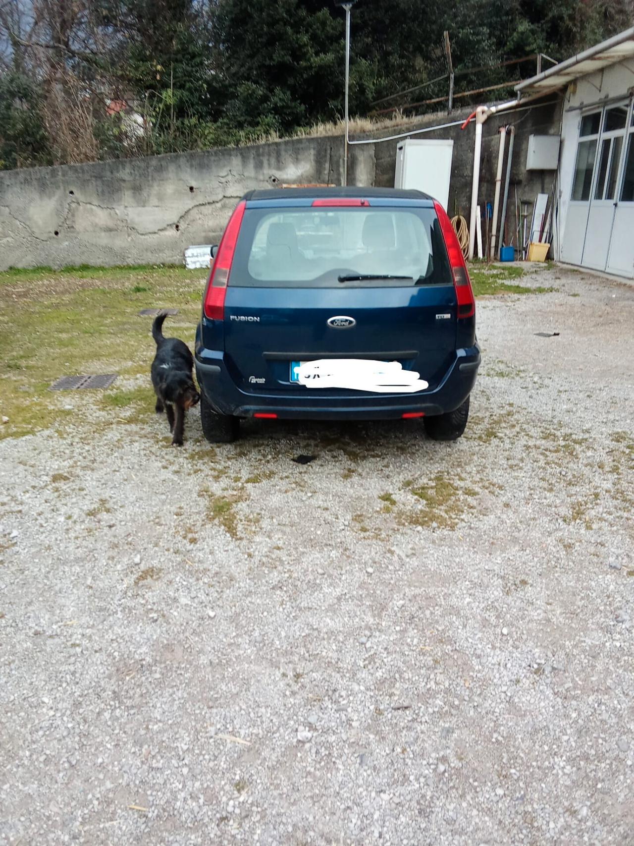 Ford Fusion 1.4 TDCi 5p. Collection