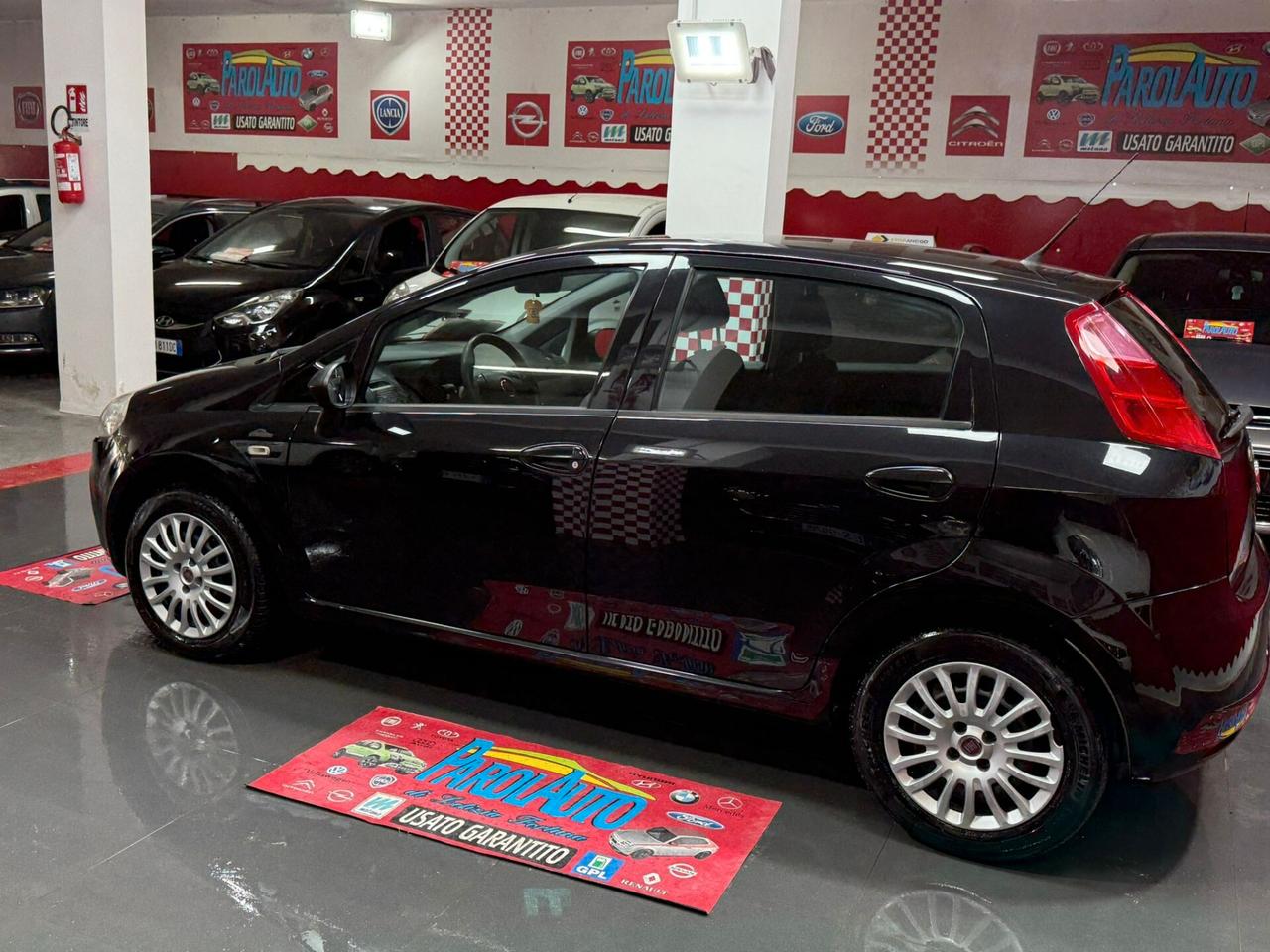 Fiat Punto 1.2 69cv 5 porte Lounge - 2013