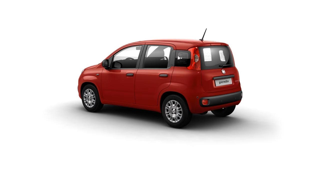FIAT Pandina Pandina 1.0 FireFly 65 CV Hybrid Icon