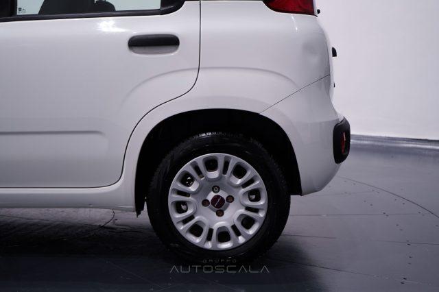 FIAT New Panda 1.2 Easy 4 posti N1 Autocarro della casa