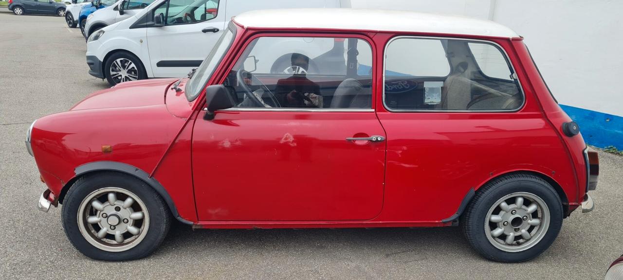 Rover Mini 1.0