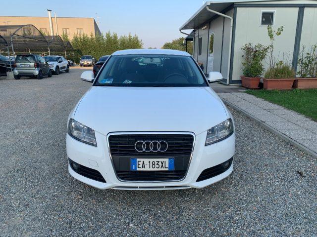 AUDI A3 SPB 1.6 TDI 90 CV CR F.AP Ambition