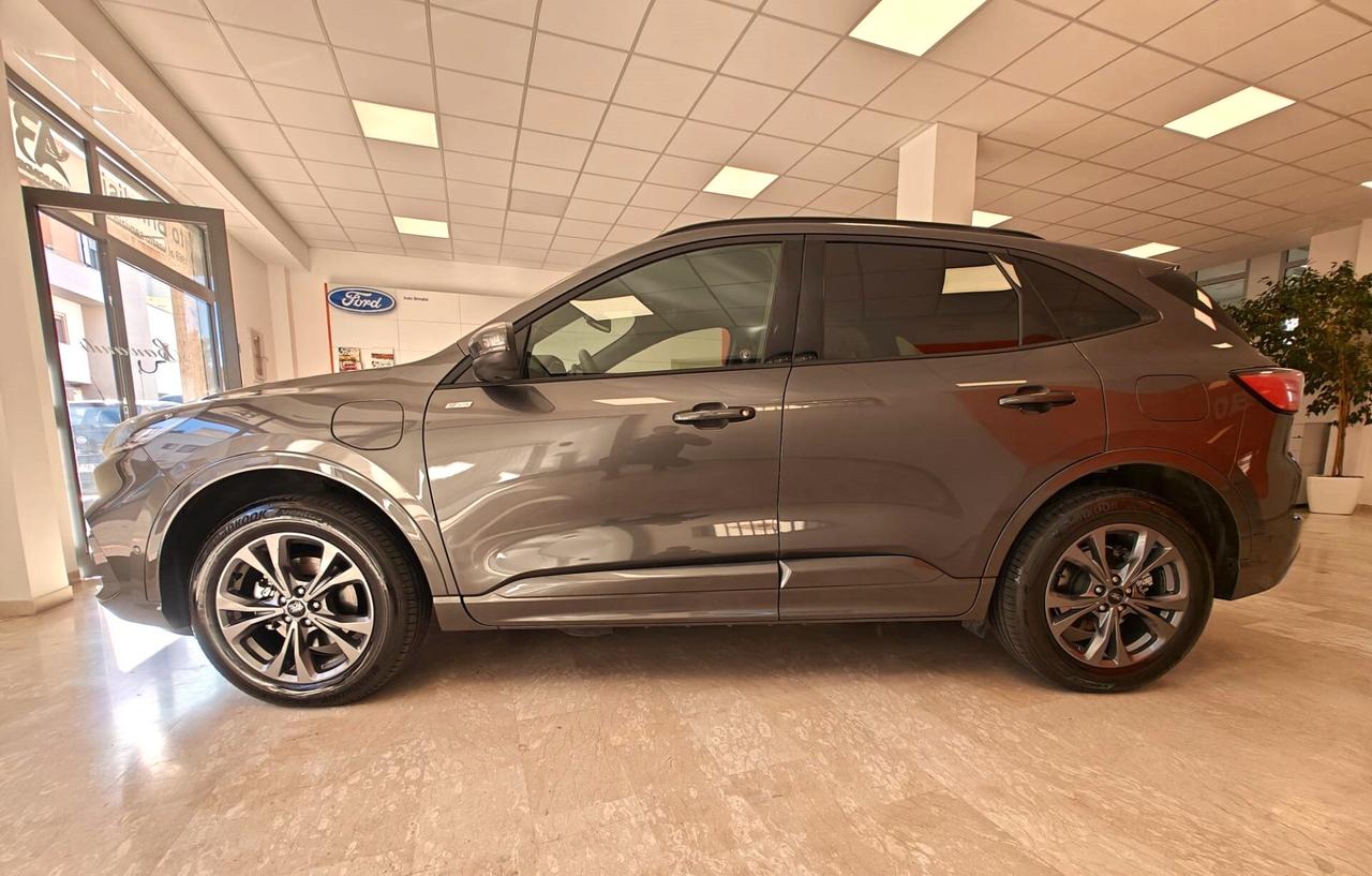 Ford Kuga 2.5 Plug In Hybrid 225 CV CVT 2WD ST-Line