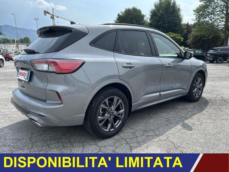 Ford Kuga 2.0 EcoBlue 120cv auto ST-Line ST LINE AUTOMATICA