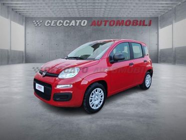FIAT Panda Panda 1.0 70cv Hybrid Icon