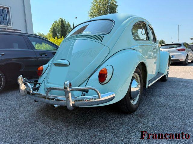 VOLKSWAGEN Maggiolino maggiolino