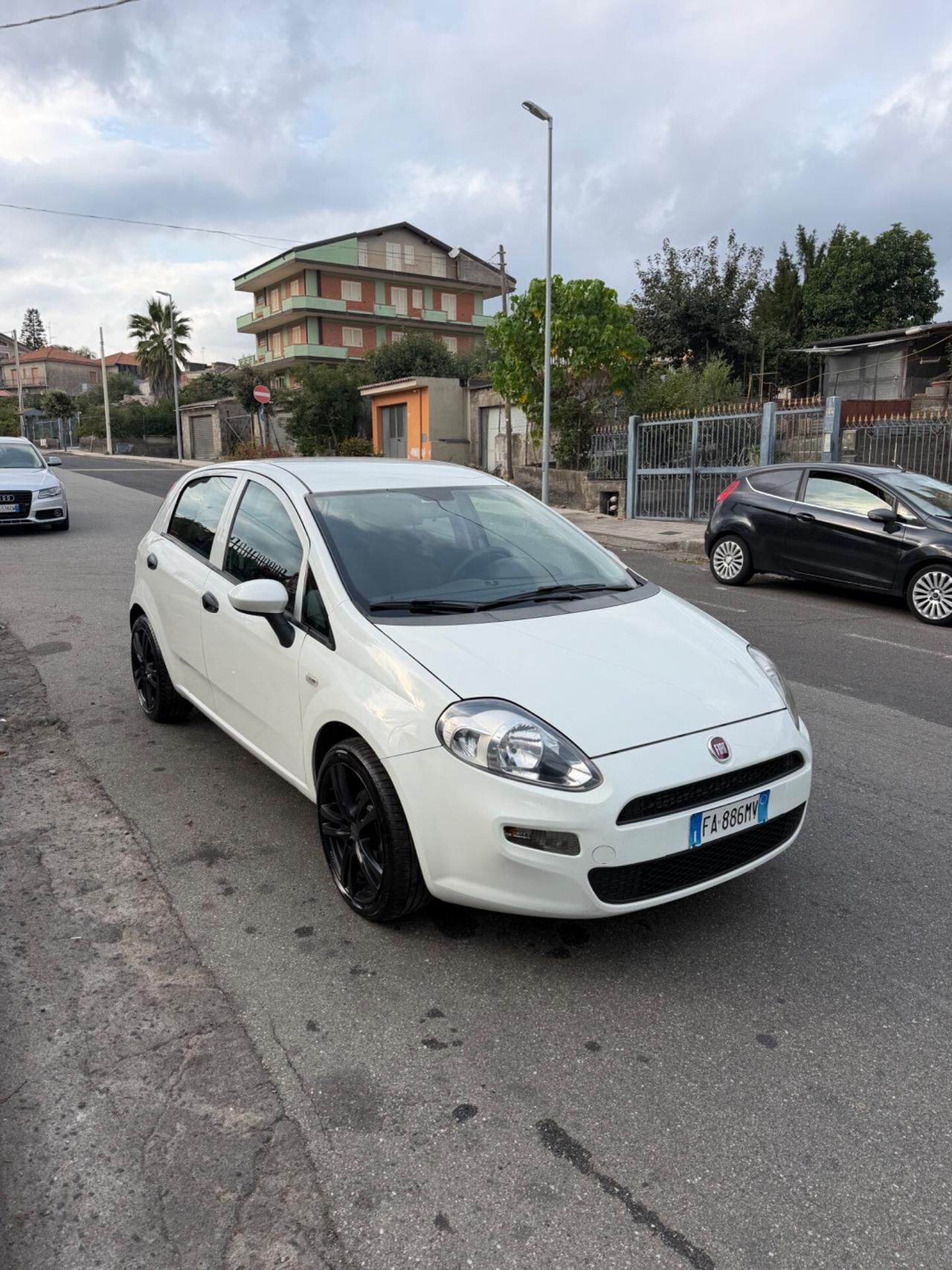 Fiat Punto 1.3 MJT II 75 CV 5 porte Street