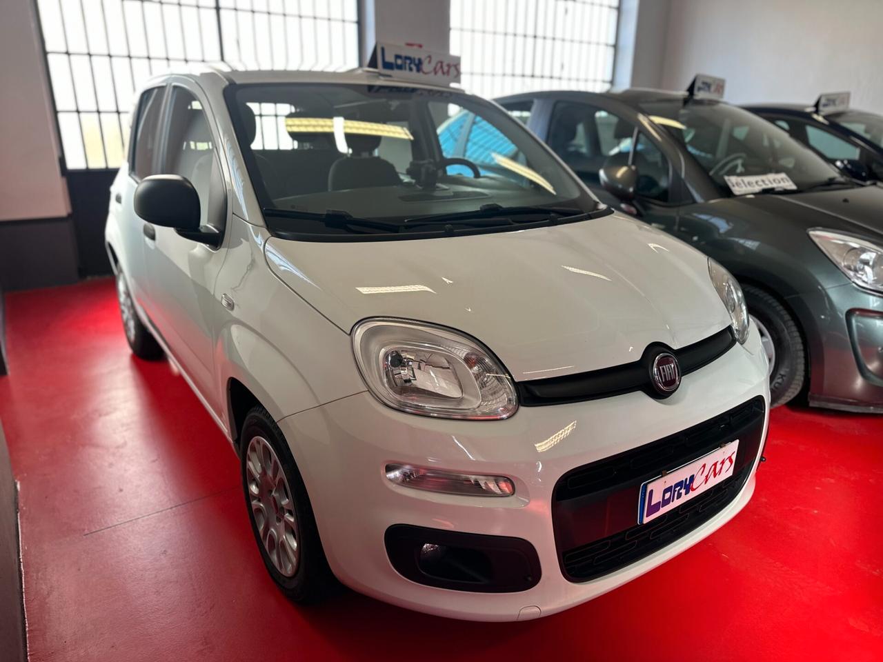 Fiat Panda 1.0 FireFly S&S Hybrid Easy NEOPATENTATI